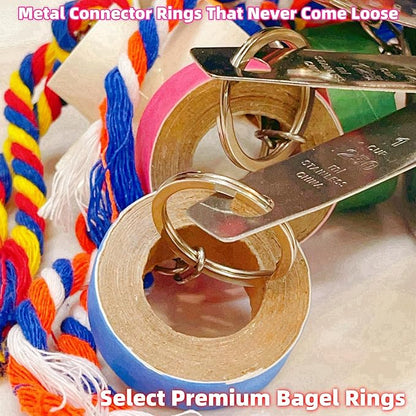 Durable Stainless Steel Pot Bagel Bird Toys for Parrots Cardboard Fatty Bagel Chewing Foraging Shredding for Medium and Large Parrot Amazons Macaws African Greys Cockatoos Eclectus Guaker Chicken