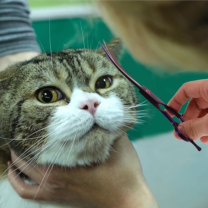 Dog Grooming Scissors, with Ergonomic Handle, Pill Popper for Cats, Upper Bend Shears, Stainless Steel Curved Shears for Dogs Cats, Purple, 7.5inch