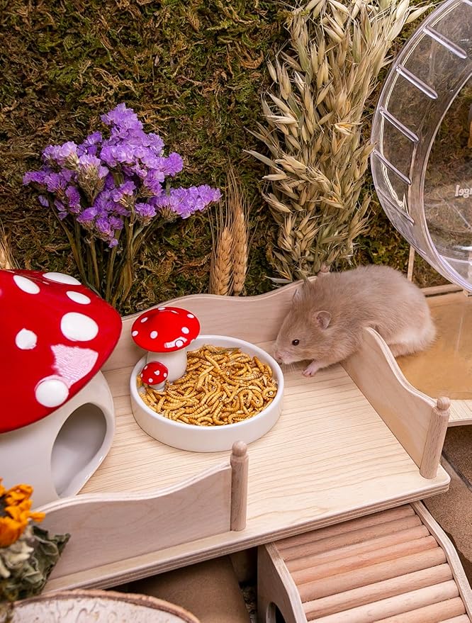 Niteangel Small Animal Snack & Treats Toy - Small Critter Natural Treat for Dwarf Syrian Robo Hamsters Gerbils Mice Lemmings Sugar Glider Hedgehogs Chickens Birds or Other Small-Sized Pets