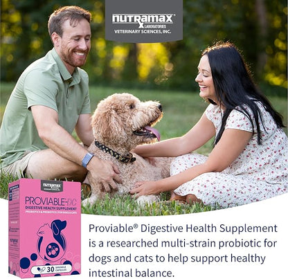 Nutramax Proviable Probiotics for Dogs and Cats, Daily Digestive Health Supplement with Multiple Strains of Bacteria, Cat and Dog Probiotics Plus Prebiotics, 30 Capsules