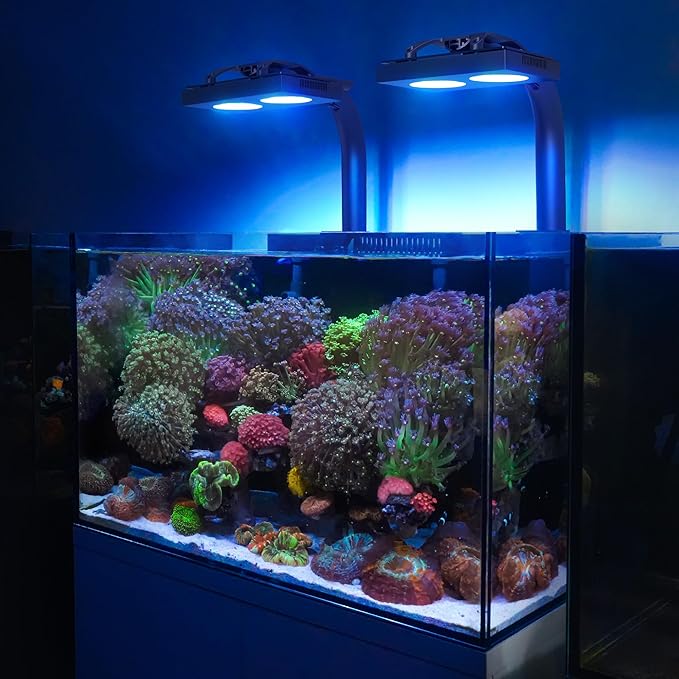 NICREW HyperReef 100 Gen 2 Reef LED Light, 100W Reef Aquarium Lighting for SPS LPS Corals and Saltwater Fish Tanks, Enhanced Violet and Blue Spectrum, Wide Angle Lens, 5 Channels Fully Programmable