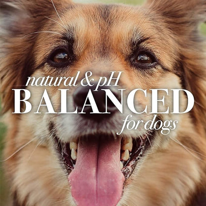 Burt's Bees for Pets Hypoallergenic Shampoo for Dogs with Shea Butter and Honey, 2pk, 95% Natural Origin Formulas, Shampoo for Sensitive Dogs - Gentle Dog Shampoo, 2pk, 16 oz