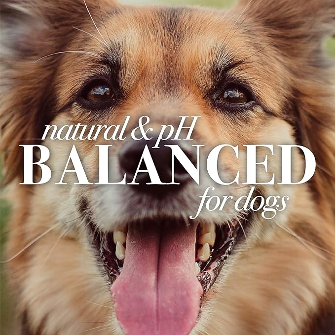 Burt's Bees for Pets Hypoallergenic Shampoo for Dogs with Shea Butter and Honey, 95% Natural Origin Formulas, Shampoo for Sensitive Dogs - Gentle Dog Shampoo, 16 oz