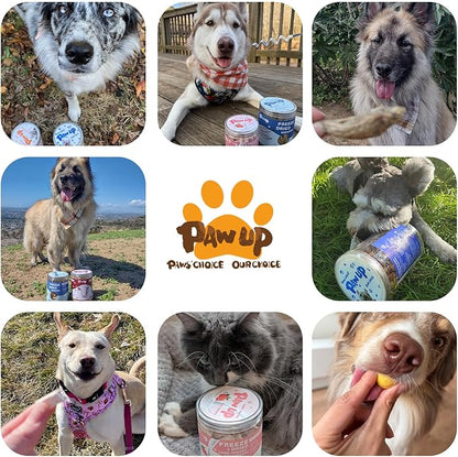 Freeze Dried Minnows Dogs Treats  100% Raw Single-Ingredient Pet Fish Snacks  Rich in Omega-3, Grain-Free  Healthy Training Rewards & Meal Toppers, 2.8 oz