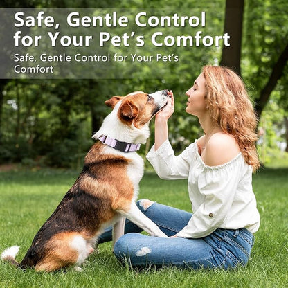 Rttochfy Martingale Dog Collars, Adjustable Nylon Dog Collar with Quick Release Buckle, No Choke Dog Training Collar for Small Medium Large Dogs (Blue, M)