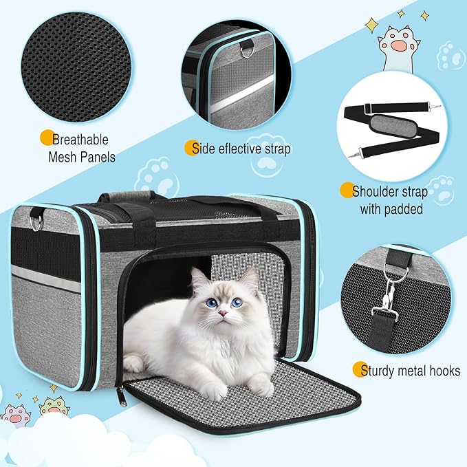 HUANLANG Soft-Sided Cat Carrier Airline Approved,Dog Carriers for Small Dogs Medium Cats,Pet Travel Carrier Up to 20 Lbs,Collapsible Cat Bag