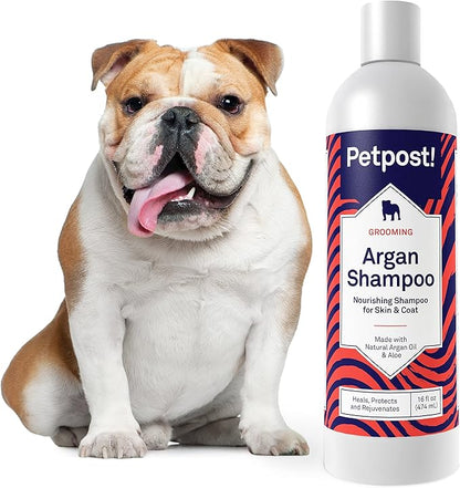 Petpost | Argan Shampoo for Dogs - Naturally Heals, Protects, & Rejuvenates Dog Dry Skin & Coat - Argan Oil and Aloe Formula 16 oz.