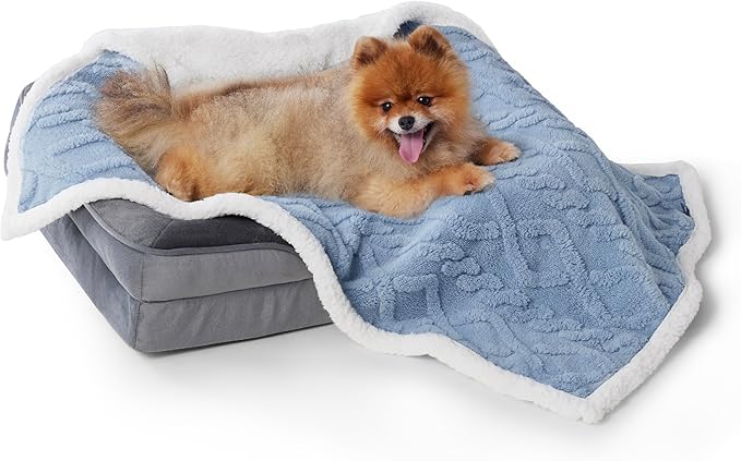 Bedsure Waterproof Dog Blankets for Small Dogs - Pet Blanket for Couch Protector Washable, Premium Jacquard Coral Fleece Cat Throw Blanket, Soft Reversible Furniture Protection, 25"x35", Light Blue