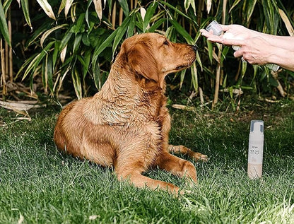 Dry Wash Shampoo for Pets  Soothing & Deodorizing, Natural Ingredients, Quick Drying & No Rinsing Required (Coconut & Oat)