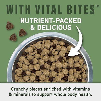 Natural Balance Specialized Nutrition Dry Dog Food with Lamb and Oatmeal for Dogs, Digestive & Immune Health Food, Natural Ingredients with Added Vitamins & Minerals - 22 lbs