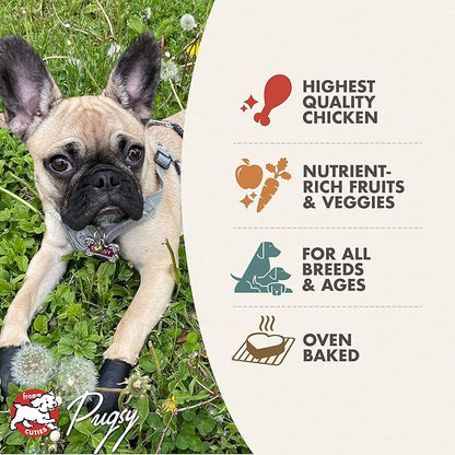 Fromm Four-Star Nutritionals Chicken with Peas & Carrots Dog Treats - Premium Oven Baked Dog Snacks - Chicken Recipe - Pack of (3) 8 oz Bags