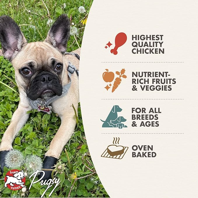 Fromm Four-Star Chicken with Carrots & Peas Grain-Free Dog Treats, 8oz (226g)