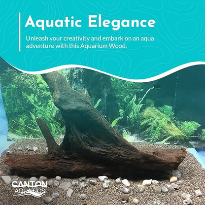 Malaysian Drift Wood Aquascaping Aquarium Decoration Large