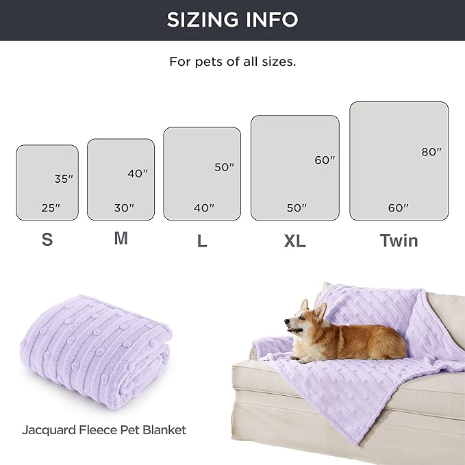Bedsure 1 Pack 2 Dog Blankets for Small Dogs - 2pcs Washable Soft Fluffy Puppy Blanket with Premium 300GSM Coral Fleece, Cozy Cat Blankets for Indoor Cats, Fuzzy Pet Blanket for Kitten Doggy, Purple