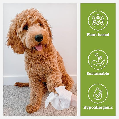 Pogi_ Dog Grooming Wipes  Hypoallergenic Pet Wipes for Paws, Body & Butt  Cleaning & Hydrating, Green Tea Scent, 100-Count