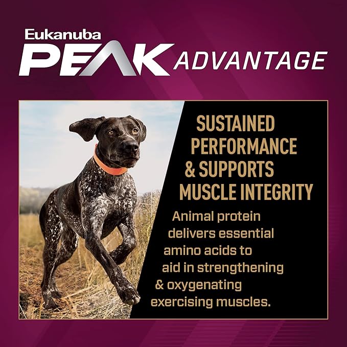 Eukanuba Premium Performance 30/20 Sport Dry Dog Food, Dry Dog Food with Protein and Fat to Support Optimal Energy, 28 lb Bag