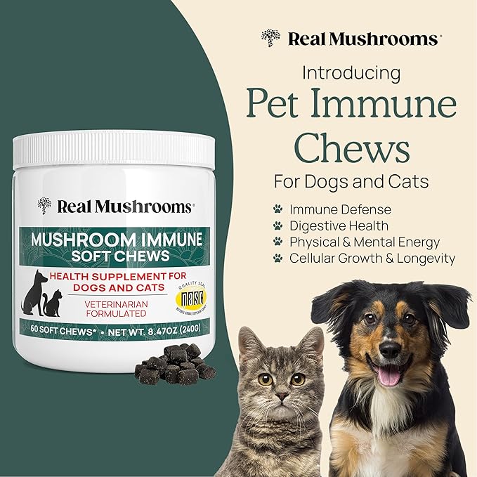 Real Mushroom Immune Pet Chews  For Daily Digestive & Immune Health  Mushrooms for Dogs & Cats Functional Treat  Mushroom Supplement for Dogs & Cats  1 to 4 Chews For All Breeds & Sizes (60 Count)