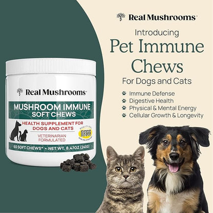 Real Mushroom Immune Pet Chews  For Daily Digestive & Immune Health  Mushrooms for Dogs & Cats Functional Treat  Mushroom Supplement for Dogs & Cats  1 to 4 Chews For All Breeds & Sizes (60 Count)