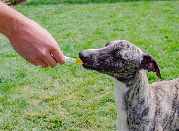 4CYTE Epiitalis® Forte Dog Gel (100ml/3.38 fl oz)