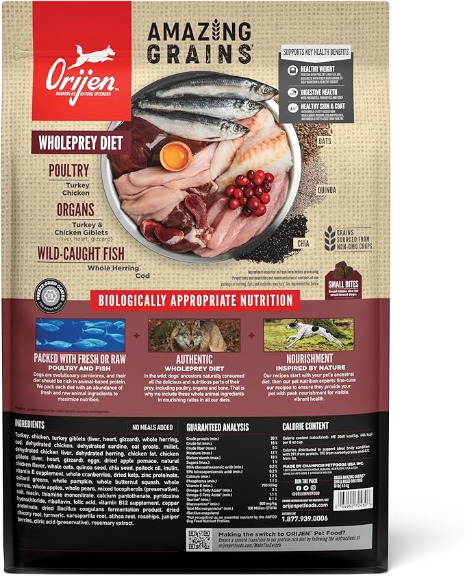 ORIJEN Amazing Grains Small Breed Dry Dog Food Recipe, 10lb