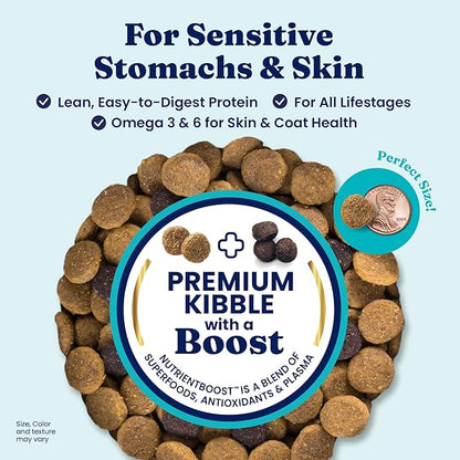 Solid Gold Salmon Dog Food for Sensitive Stomachs  Grain Free & Gluten Free Kibble w/Probiotics to Support Gut Health & Digestion - Sensitive Stomach Dog Food for All Ages  Nutrientboost  3.75 LB