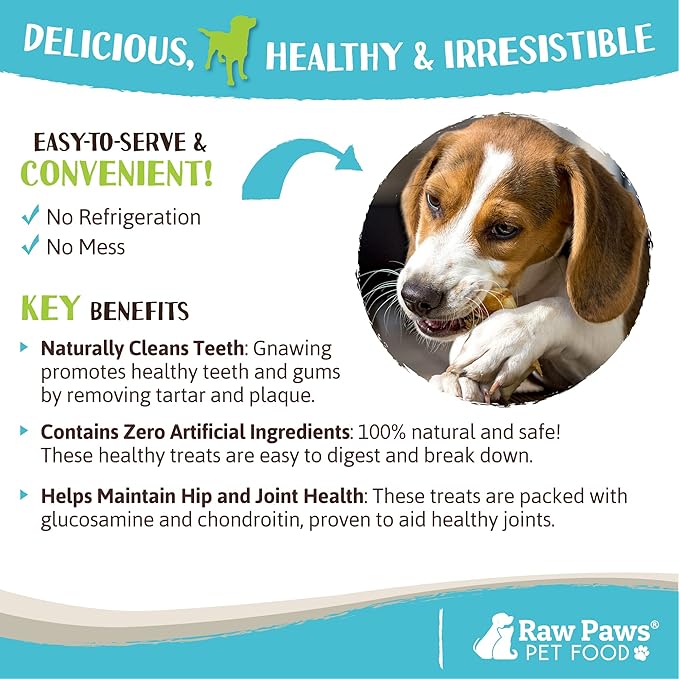 Raw Paws Freeze Dried Duck Feet for Dogs (10 Pack) - Made in USA Fully Digestible Dog Chew- Single Ingredient Dog Treats - Freeze Dried Duck Feet for Dogs - Duck Feet Dog Treat - Duck Treats for Dogs