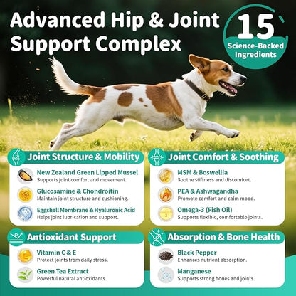Dog Hip and Joint Supplement, 15-in-1 Advanced Glucosamine for Dogs with Chondroitin, MSM, New Zealand GLM, Pea, Omega 3 - Chicken Flavor - 90 Soft Chews, Fits All Breeds and Sizes