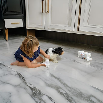 Aurora Pet Wipes – 100% Natural, Plant-Based Hypoallergenic Grooming Wipes for Dogs & Cats – Extra-Durable, Large & Thick for Effortless Cleaning (Lavender, 100 Count)