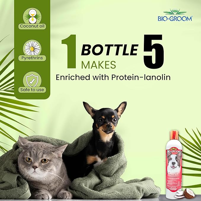 Bio-Groom Flea & Tick Dog Shampoo – Flea and Tick Prevention for Dogs, Cat Flea Treatment, Cruelty-Free, Made in USA, Natural Tick Repellent, Protein-Lanolin Shampoo – 12 fl oz 1-Pack