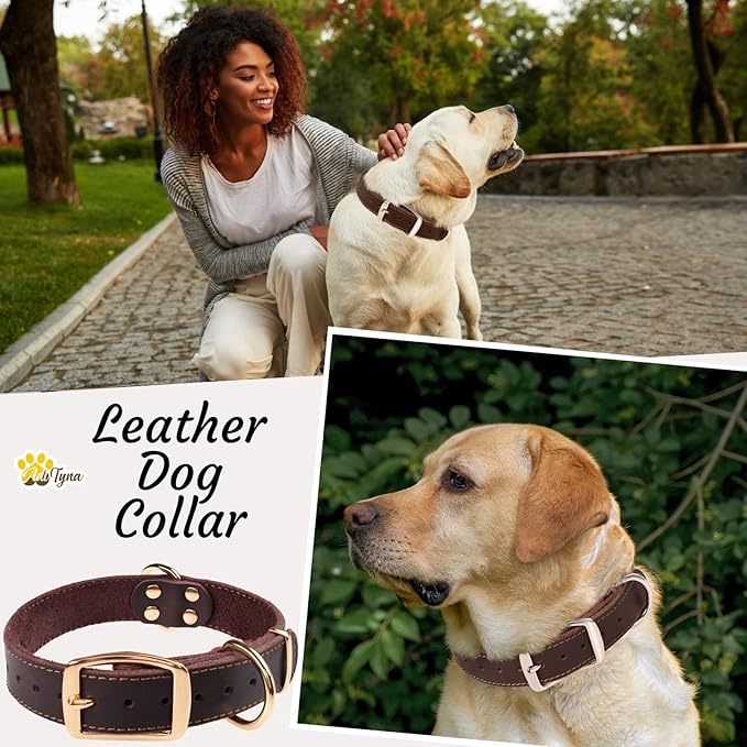 ADITYNA Heavy Duty Leather Dog Collar for Medium Dogs - Soft and Strong Leather Dog Collar for Medium Dog Breeds (Medium: Fit 13" - 20" Neck, Brown - Gold Colored Buckle)