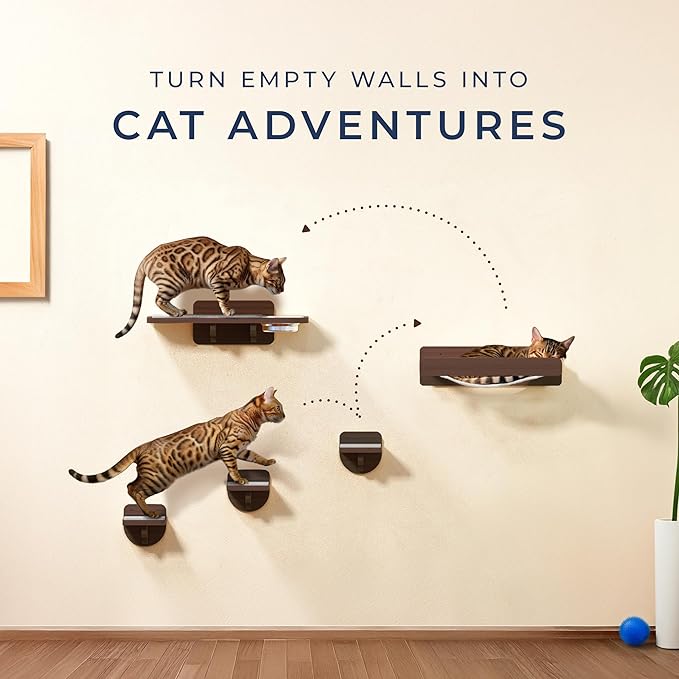 Space-Saving Cat Wall Shelves – Interactive Cat Wall Climber with Hammock & Dog Proof Feeding Station for All Indoor Breeds – Solid Walnut Wood with Beige Carpet
