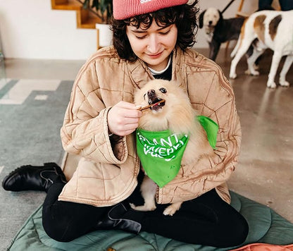 V-dog Kind Jerky - 100% Vegan Jerky Dog Treats - Plant Based Protein and Superfoods - 8 Ounce - All Natural - Made in The USA