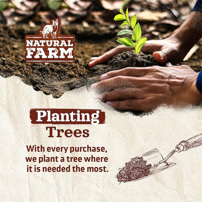 Natural Farm Odor-Free Thick Bully Sticks (12, 5-Pack) All-Natural Long-Lasting Dog Chews, 100% Beef Pizzle, Grass-Fed, Grain-Free, Protein for Muscle Development & Energy, Perfect for Large Dogs