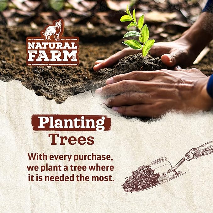 Natural Farm Odor-Free Thick Bully Sticks (12, 10-Pack) All-Natural Long-Lasting Dog Chews, 100% Beef Pizzle, Grass-Fed, Grain-Free, Protein for Muscle Development & Energy, Perfect for Large Dogs