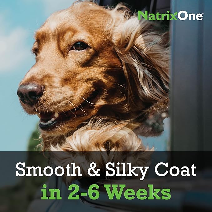 100% Pure Camelina Oil for Dogs, 8 oz - Dog Skin and Coat Supplement All-Natural Supplements, Support Hearts, Joints, Coats, Skin and Anti-inflammatory, Protective Care - Omega 3 by NatrixOne