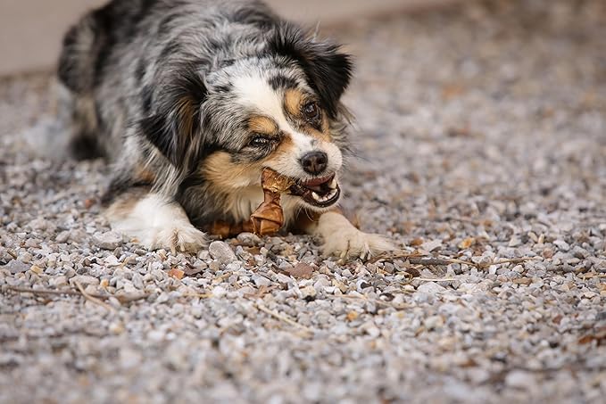 Real Peanut Butter Dog Treats Mini Bones, (16ct) Collagen Smart Bones for Dogs Rawhide for Small and Medium Breeds,Collagen Sticks for Dogs.