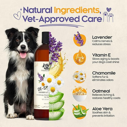 Dog Shampoo and Conditioner De-Stress Lavender & Chamomile 16 Fl Oz Dog Shampoo Itchy Skin Relief Hypoallergenic Aromatherapy Dog Shampoo for Smelly Dogs with Aloe Vera & Oatmeal by Gerrard Larriett