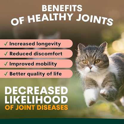 Hip and Joint Supplement for Cats - Glucosamine, Chondroitin, MSM for Joint Hip Care, Arthritis Pain Relief, Mobility Support, Cartilage Health, Inflammation Reduction - Senior Cat Support, 60 Scoops