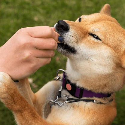 Pawlabs G-Max Joint Support for Dogs - Maximum Strength Hip & Joint Supplement with Glucosamine, Chondroitin, MSM etc - Relieves Arthritis Pain & Hip Dysplasia - Bacon Flavor, 60 Chews