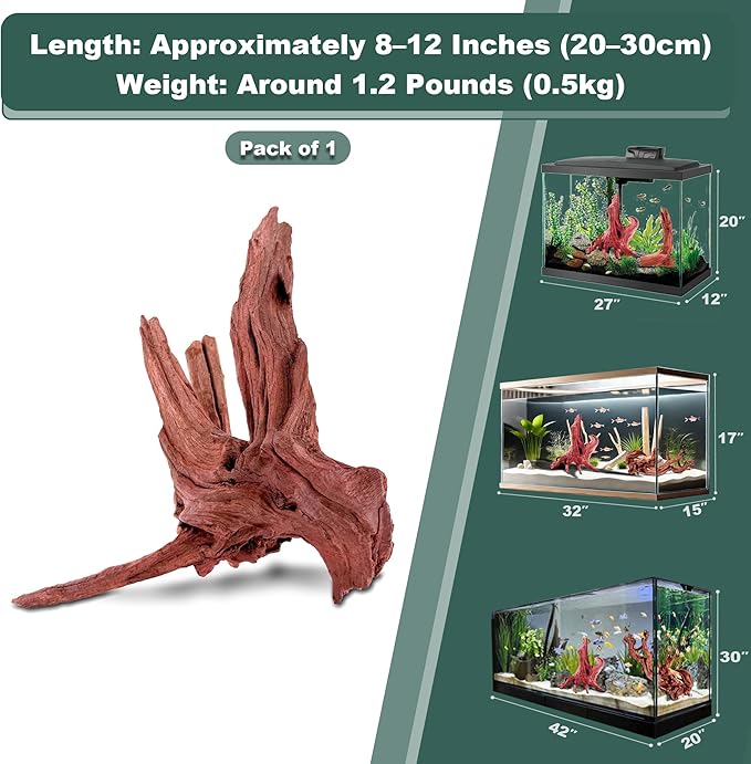 Natural Wood Driftwood for Aquarium Fish Tank Decor,Assorted Trunk Driftwood Branch for Reptile Decor (ZYM Driftwood Medium (8 to12 Inch)-Pack of 1)