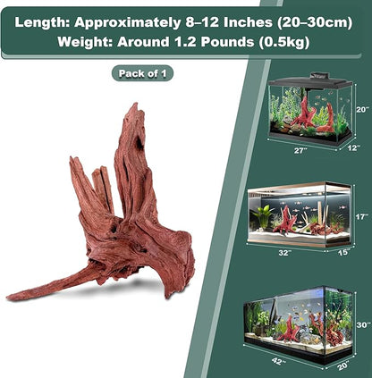 Natural Wood Driftwood for Aquarium Fish Tank Decor,Assorted Trunk Driftwood Branch for Reptile Decor (ZYM Driftwood Medium (8 to12 Inch)-Pack of 1)