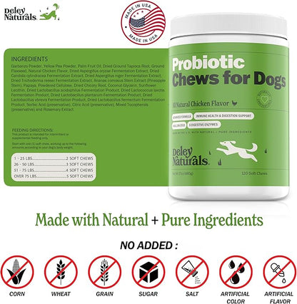Deley Naturals Dog Probiotic Chews - Dogs Probiotic for Digestive Health with 4 Billion CFUs & Digestive Enzymes - Anti Diarrhea for Dogs - Dog Gut Health Probiotics for Allergies - Made in The USA