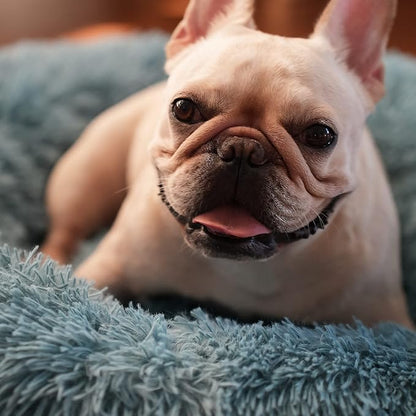 Blue Dog Bed for Small Dogs Fluffy Anti-Anxiety Dog Bed, Calming Dog Bed for Small Dogs Washble Snuggle Safe and Soft Puppy Bed for Small Dogs,Round Donut Machine Washable Small Pet Bed.