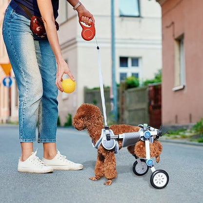 Dog Wheelchair, Adjustable Dog Wheelchair for Back Legs, Stable Dog Cart for Disabled Hind Legs, Help Small Pets with Paralyzed Hind Legs Regain Mobility