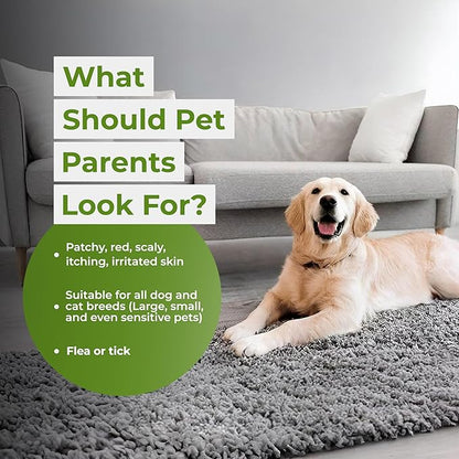 Natural Pet Shampoo for Dogs & Cats – Dog Shampoo Itchy Skin Relief, Odor Control & Deep Cleansing – Plant Based Formula Dog Shampoo Cat Shampoo – Safe for Sensitive Skin, Reduce Shedding – 1 Box