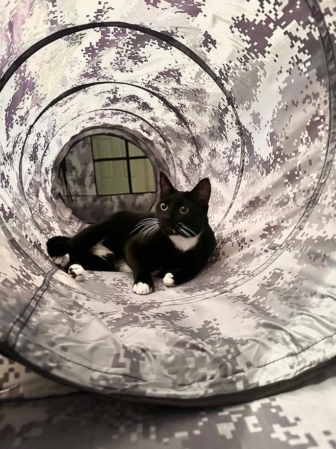 3-Piece Mesh & Nylon Cat/Dog Tent Set, Tunnel Connects Two Houses, Digital Camo Gray, Carrying Case (Green Digital camo)
