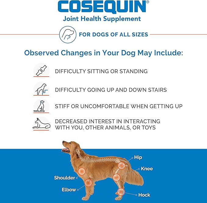 Nutramax Cosequin for Dogs Joint Health Supplement, Contains Glucosamine for Dogs, Plus Chondroitin, Supports Healthy Joints, Chewable Tablets, 250 Count