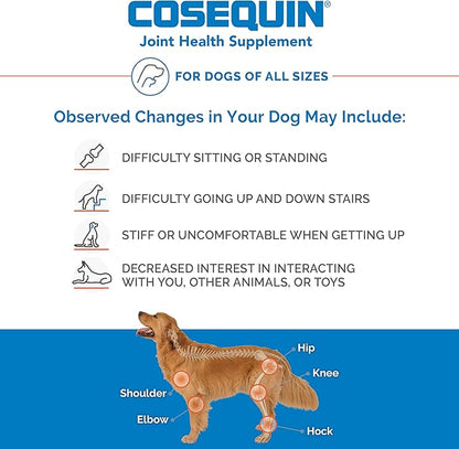 Nutramax Cosequin for Dogs Joint Health Supplement, Contains Glucosamine for Dogs, Plus Chondroitin, Supports Healthy Joints, Chewable Tablets, 250 Count