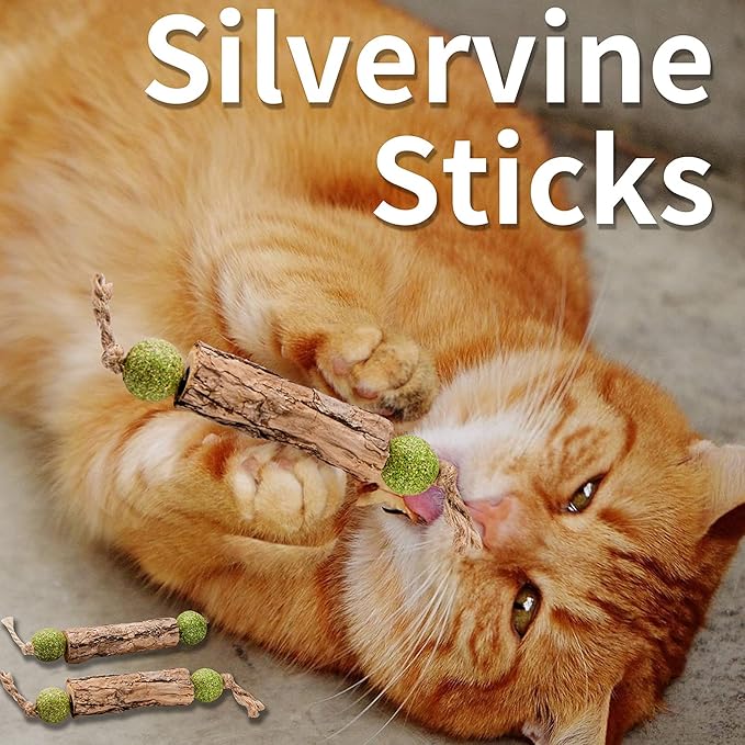Silvervine Sticks Catnip Toys for Cats, 3 Pack, Interactive Indoor Cat Toy for Teeth Cleaning, Natural Matatabi Chew Treat for Aggressive Chewers