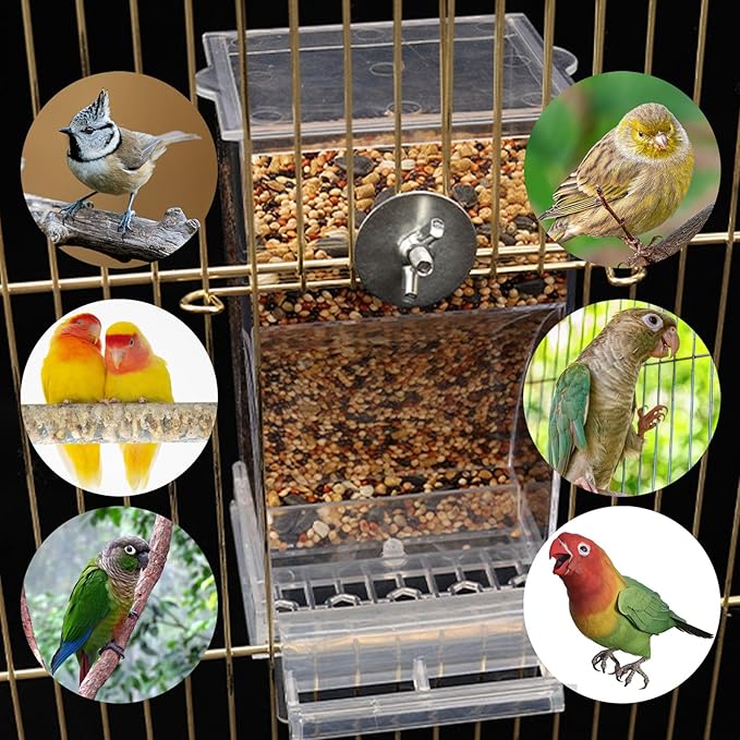 No Mess Bird Feeder Water Dispenser Set, SHGNUY Automatic Transparent Parrot Feeder Acrylic Parrot Food Container Drinker Cage Accessories for Small Birds Canary Parakeet Finch (Dark Green, 1)